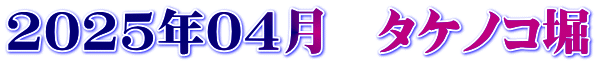2025年04月　タケノコ堀