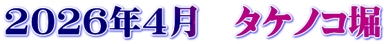 2026年4月　タケノコ堀
